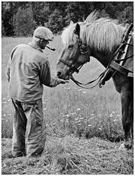 Helmer och hästen Frank. Baggår 1960.